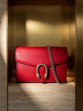 Gucci Dionysus Red Leather Shoulder Bag with Chain Strap
